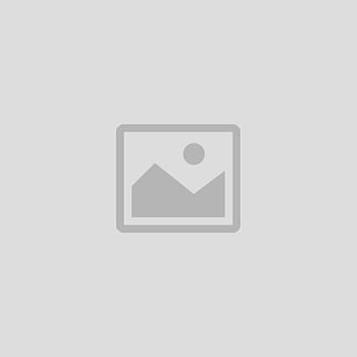 Business Branding Bundles